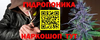 ГАЛЛЮЦИНОГЕННЫЕ ГРИБЫ Берёзовский