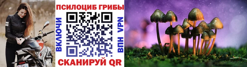 hydra маркетплейс  Новокузнецк  Галлюциногенные грибы Psilocybine cubensis 
