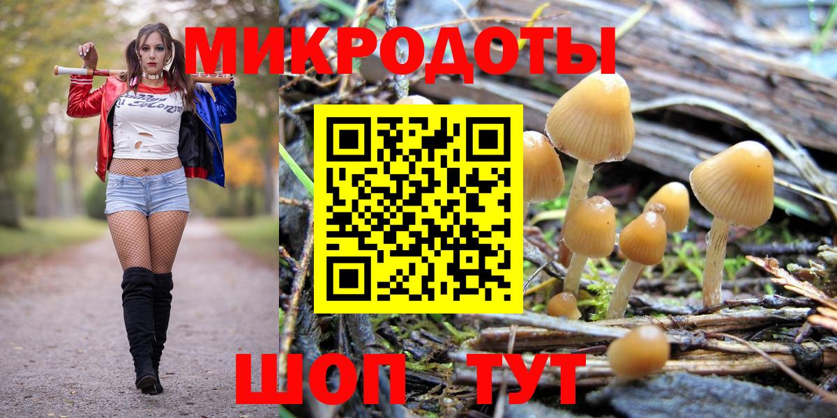 Псилоцибиновые грибы GOLDEN TEACHER  Новокузнецк 