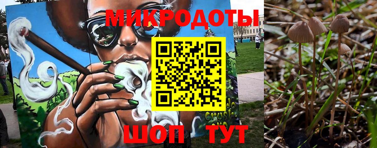 Галлюциногенные грибы MAGIC MUSHROOMS Новокузнецк
