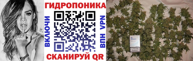 Каннабис индика Новокузнецк